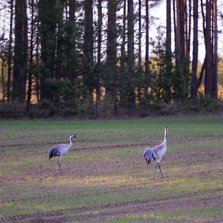 Kaszubska Odskocznia Ostoja Bukowo Villa Borowy Mlyn ภายนอก รูปภาพ