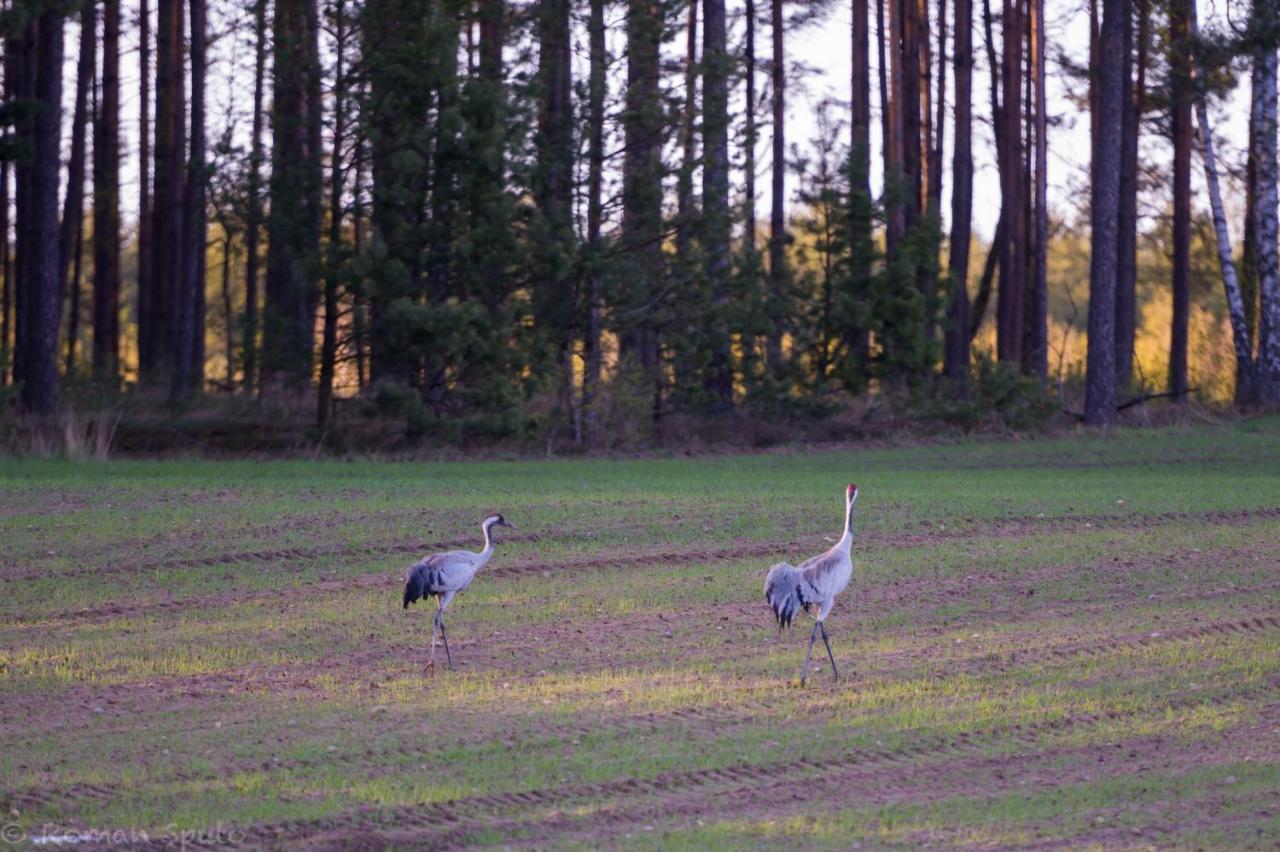 Kaszubska Odskocznia Ostoja Bukowo Villa Borowy Mlyn ภายนอก รูปภาพ