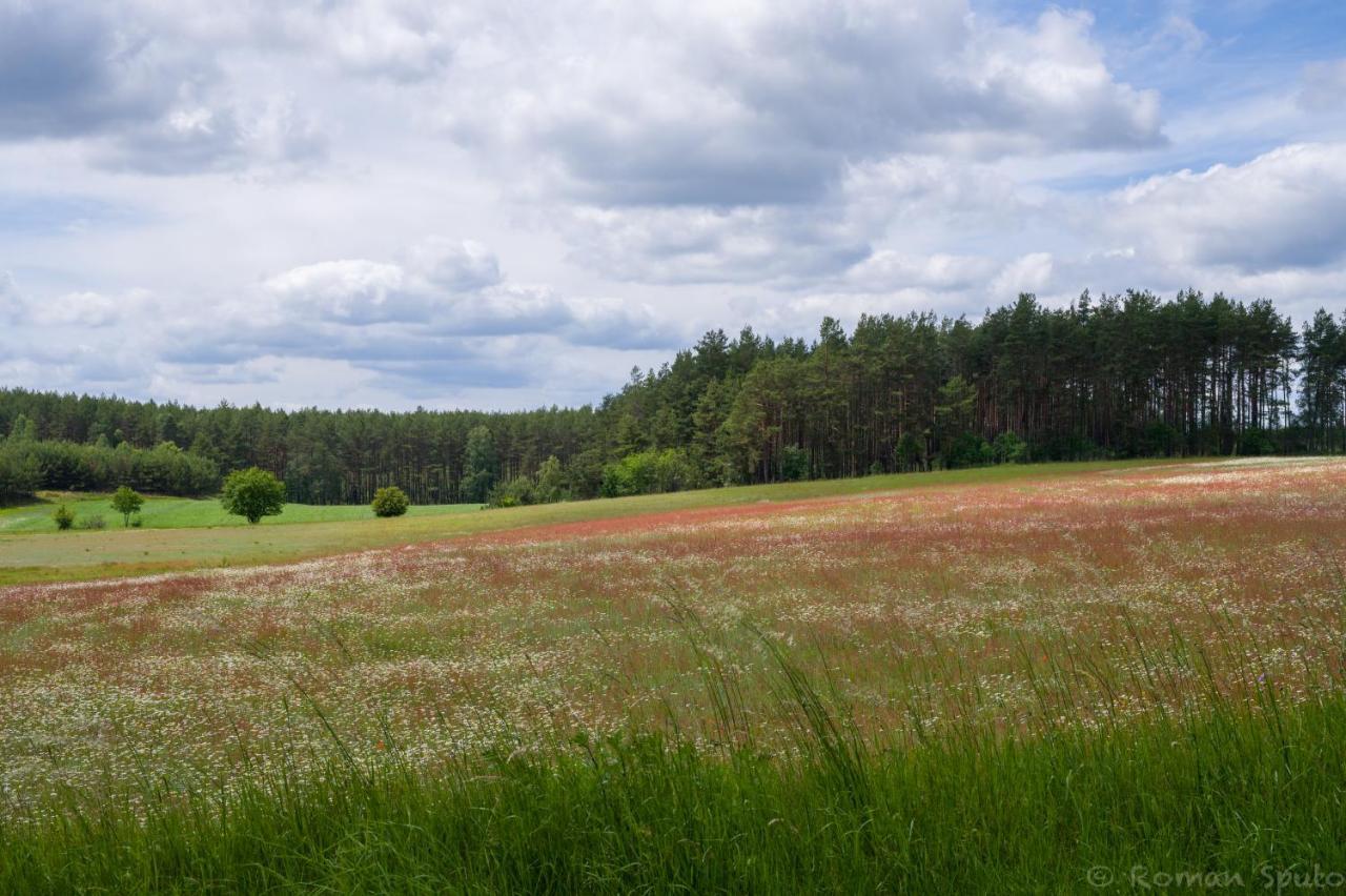 Kaszubska Odskocznia Ostoja Bukowo Villa Borowy Mlyn ภายนอก รูปภาพ